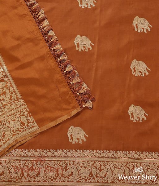 Handwoven_Brown_Shikargah_Dupatta_with_Elephant_Motif_WeaverStory_04