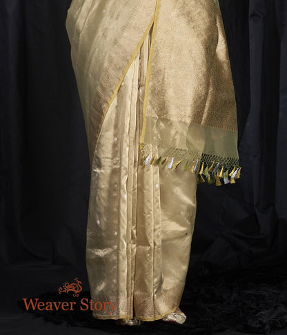 Handwoven_Gold_Tissue_Saree_with_Small_Booti_WeaverStory_04