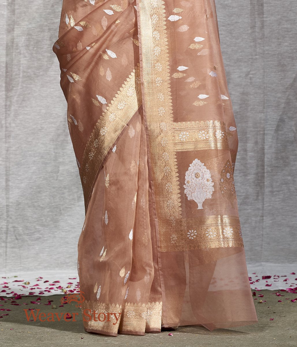 Handwoven_Soft_Brown_Sona_Rupa_Booti_Saree_With_Floral_Border_WeaverStory_04