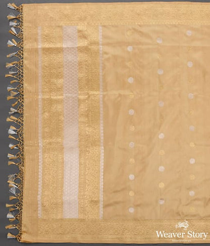 Handwoven_Golden_Beige_Kadhwa_Booti_Dupatta_with_Floral_Border_WeaverStory_04