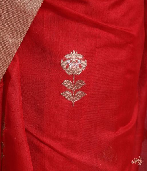 Bridal_Red_handloom_Chanderi_Saree_with_Tissue_Palla_WeaverStory_04