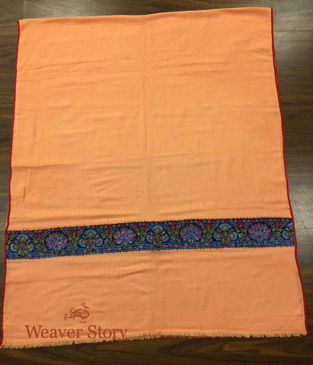 Peach_Pashmina_Stole_with_Blue_Border_WeaverStory_05