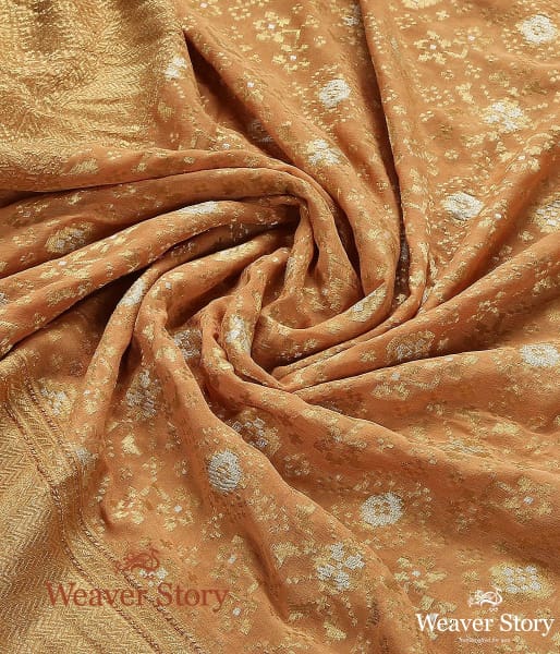 Handwoven_Banarasi_Georgette_Cutwork_Dupatta_WeaverStory_05