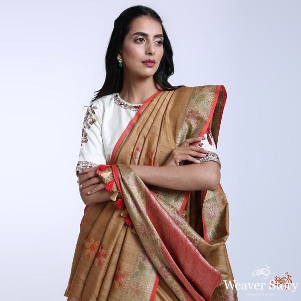 Handwoven_Tusser_Georgette_banarasi_saree_with_rangkaat_dye_WeaverStory_01