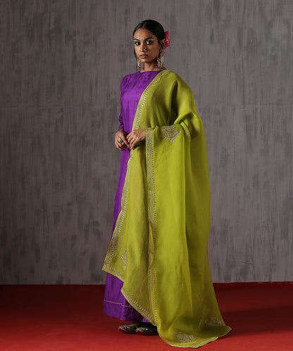 Lime_Green_Handloom_Pure_Organza_Dupatta_With_Hand_Embroidered_Aari_And_Mukaish_Motifs_WeaverStory_01