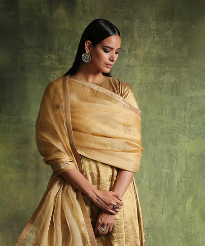 Handloom_Gold_Chanderi_Tissue_Suit_With_Straight_Pants_And_Hand_Embroidered_Organza_Dupatta_WeaverStory_01