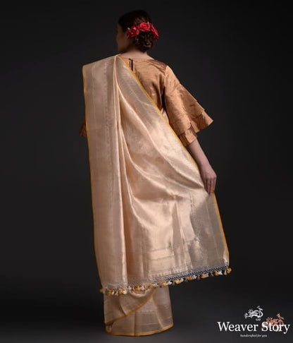 Golden_Beige_Tissue_Kimkhab_saree_with_a_contrast_border_WeaverStory_03