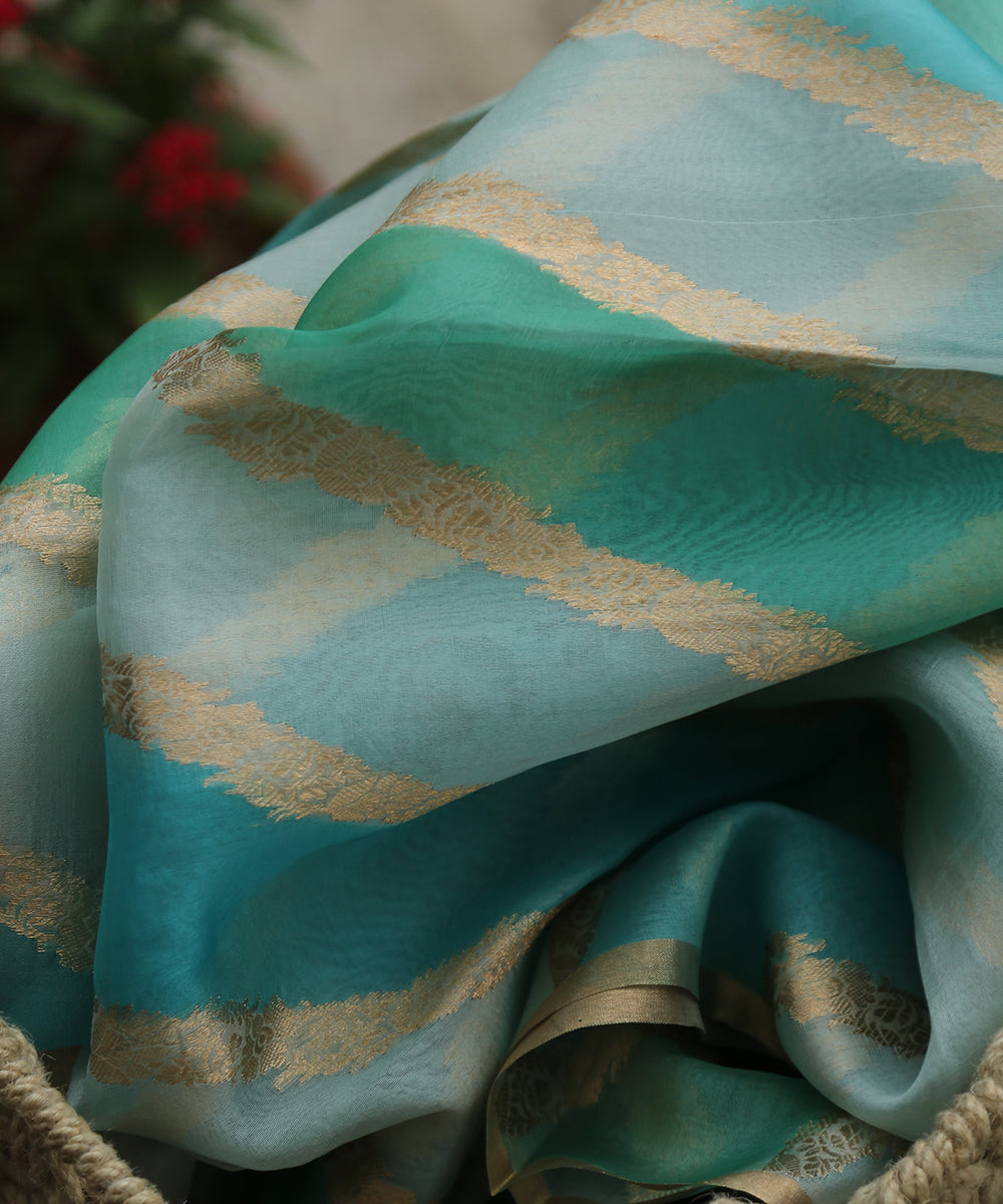 Handloom_Sky_Blue_And_Green_Rangkaat_Pure_Organza_Dupatta_With_All_Over_Jaal_WeaverStory_01