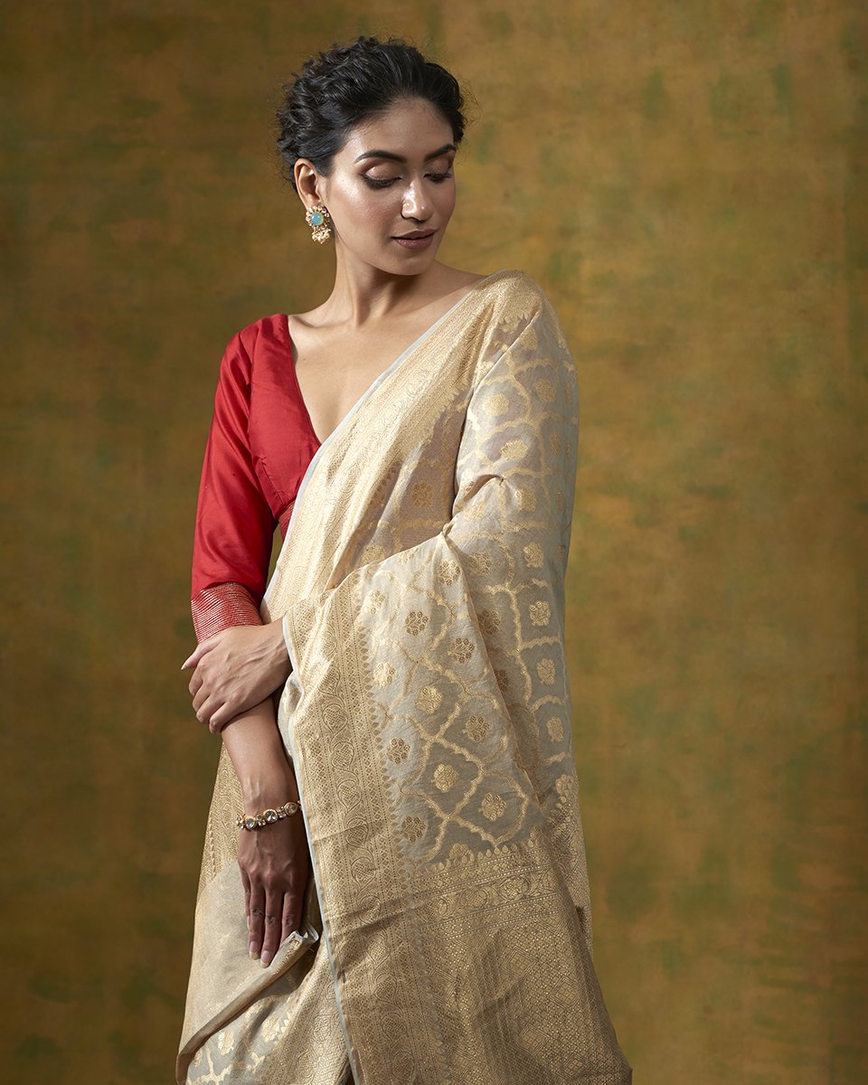 Handloom_Beige_Banarasi_Katan_Tissue_Saree_with_all_over_Cutwork_Jaal_WeaverStory_01