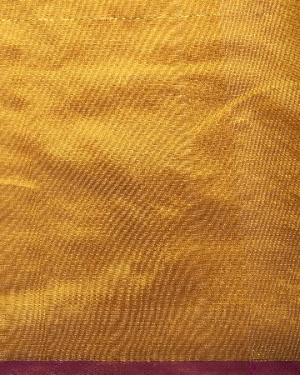 Handloom_Golden_Mustard_Tissue_Chanderi_Saree_WeaverStory_05