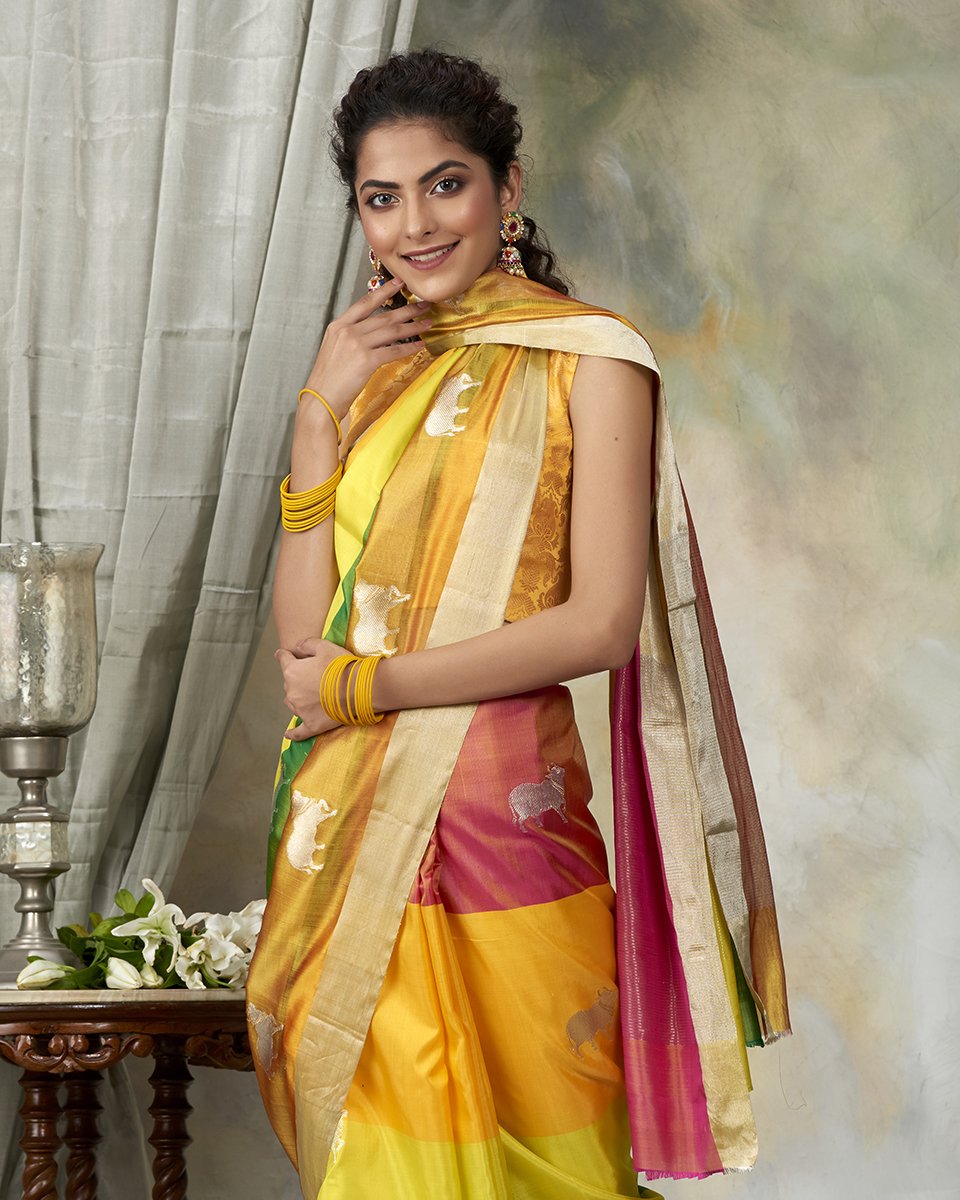 Handloom_Multicolor_Chanderi_Pure_Silk_Saree_with_Woven_Cow_Motifs_WeaverStory_01