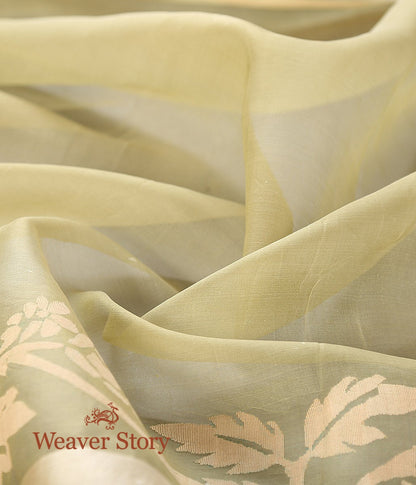 Handwoven_Pistachio_Green_Muslin_Jamdani_Saree_with_Floral_Pattern_Woven_All_Over_WeaverStory_04