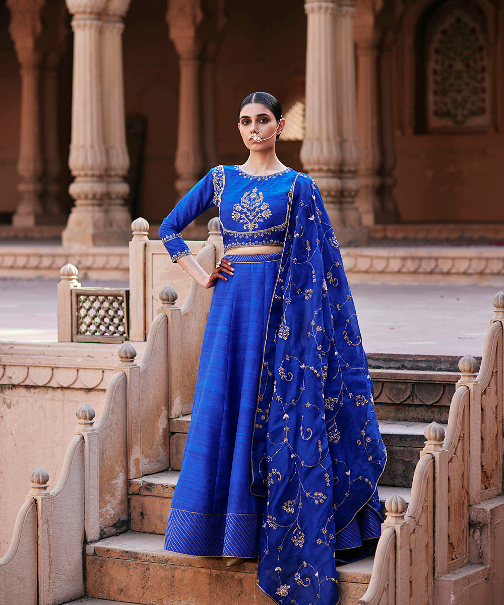 Blue_Banarasi_Lehenga_With_Raw_Silk_Blouse_And_Hand_Embroidered_Organza_Dupatta_WeaverStory_01