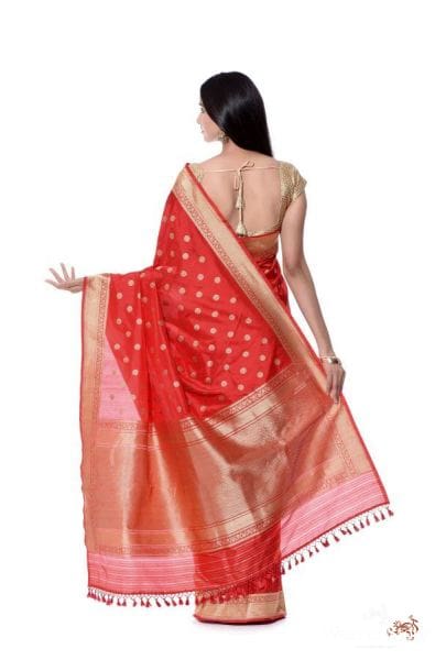 Beautiful_red_kadhwa_banarsi_katan_silk_saree_with_ginni_booti_WeaverStory_02