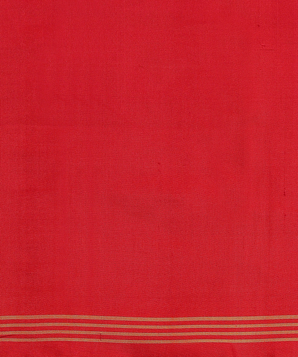 Grey_Handloom_Mulberry_Silk_Patola_Saree_With_Red_Border_And_Chevrons_Pattern_WeaverStory_05