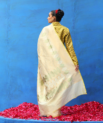 Light_Pistachio_Green_Handloom_Pure_Katan_Silk_Zari_Wasket_Banarasi_Saree_With_Meenakari_WeaverStory_03