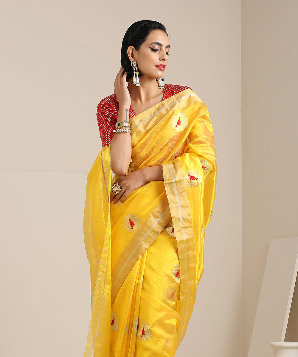 Yellow_Handloom_Chanderi_Silk_Saree_With_Red_Parrots_Motifs_WeaverStory_01