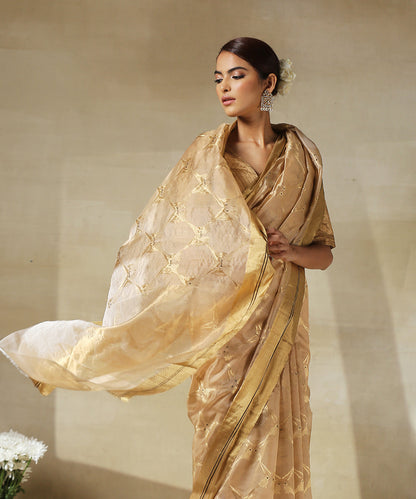 Handloom_Soft_Brown_Chanderi_Silk_Saree_With_Eknaliya_Birds_Woven_In_Gold_Zari_WeaverStory_01