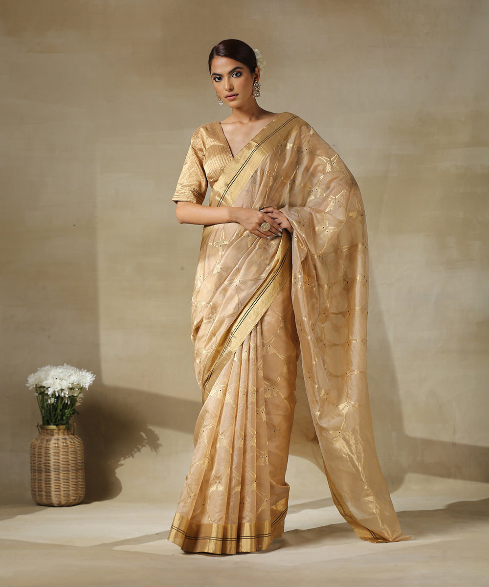 Handloom_Soft_Brown_Chanderi_Silk_Saree_With_Eknaliya_Birds_Woven_In_Gold_Zari_WeaverStory_02