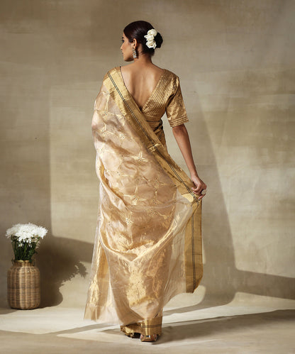 Handloom_Soft_Brown_Chanderi_Silk_Saree_With_Eknaliya_Birds_Woven_In_Gold_Zari_WeaverStory_03