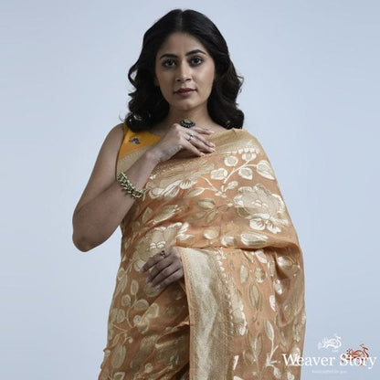 Peachish_brown_cutwork_banarasi_jangla_saree_WeaverStory_01