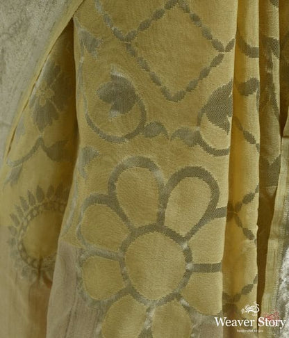 Pale_yellow_banarasi_georgette_saree_WeaverStory_03