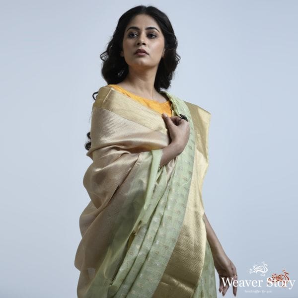 Pistachio_green_cotton_silk_saree_with_gold_and_silver_motifs_WeaverStory_01