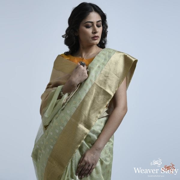 Pistachio_green_cotton_silk_saree_with_gold_and_silver_motifs_WeaverStory_03