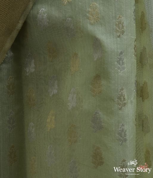 Pistachio_green_cotton_silk_saree_with_gold_and_silver_motifs_WeaverStory_04