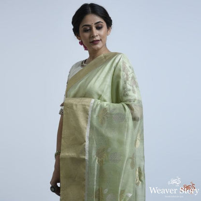 Pistachio_green_cotton_silk_saree_with_floral_motif_WeaverStory_01