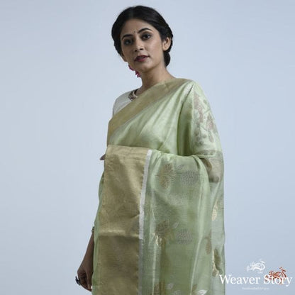 Pistachio_green_cotton_silk_saree_with_floral_motif_WeaverStory_03