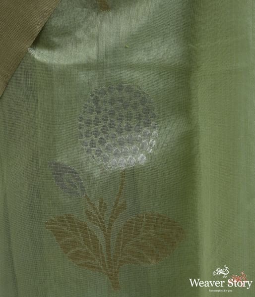 Pistachio_green_cotton_silk_saree_with_floral_motif_WeaverStory_04