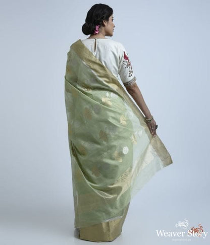 Pistachio_green_cotton_silk_saree_with_floral_motif_WeaverStory_05