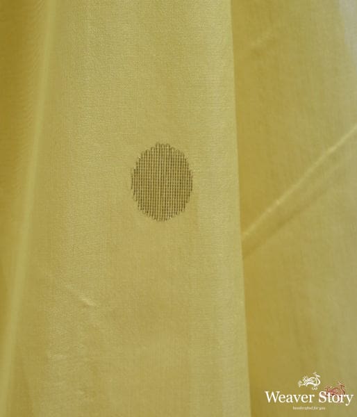 Yellow_handwoven_Chanderi_saree_with_a_gold_tissue_pallu_WeaverStory_04