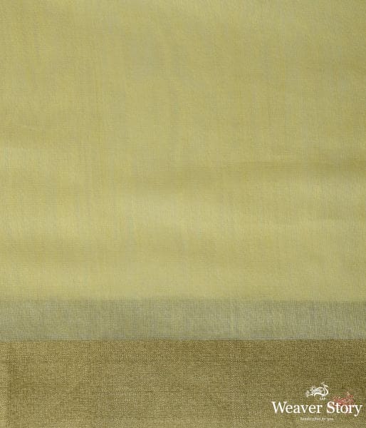 Yellow_handwoven_Chanderi_saree_with_a_gold_tissue_pallu_WeaverStory_05