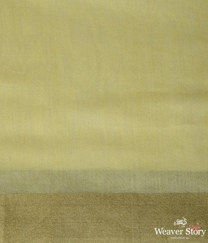 Yellow_handwoven_Chanderi_saree_with_a_gold_tissue_pallu_WeaverStory_05