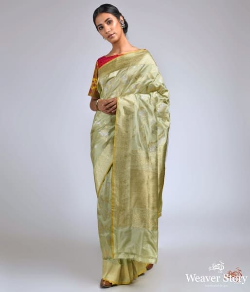 Pista_green_heavy_kadhwa_jangla_gold_silver_zari_saree_WeaverStory_02