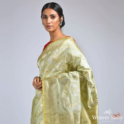 Pista_green_heavy_kadhwa_jangla_gold_silver_zari_saree_WeaverStory_01