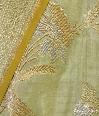 Pista_green_heavy_kadhwa_jangla_gold_silver_zari_saree_WeaverStory_03