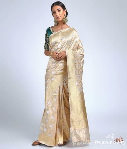 Offwhite_and_gold_tissue_jangla_saree_WeaverStory_02