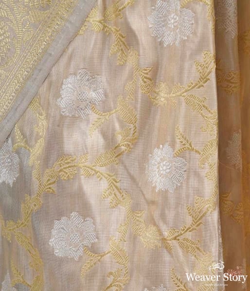 Offwhite_and_gold_tissue_jangla_saree_WeaverStory_04