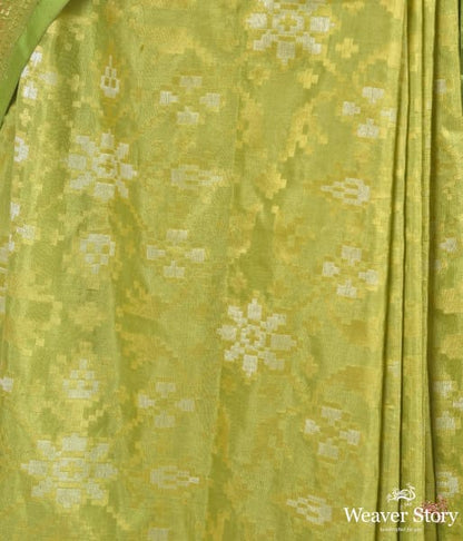 Pistachio_green_banarasi_patola_saree_WeaverStory_03