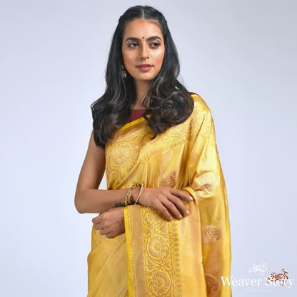 Mustard_katan_silk_saree_in_ektara_weave_WeaverStory_01