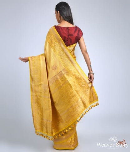 Mustard_katan_silk_saree_in_ektara_weave_WeaverStory_04