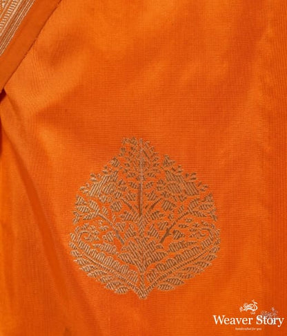 Orange_and_gold_Banarasi_silk_saree_with_kadhwa_booti_WeaverStory_03