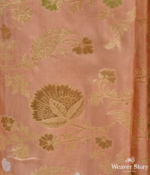 Pale_peach_meenakari_kadhwa_jangla_saree_WeaverStory_03