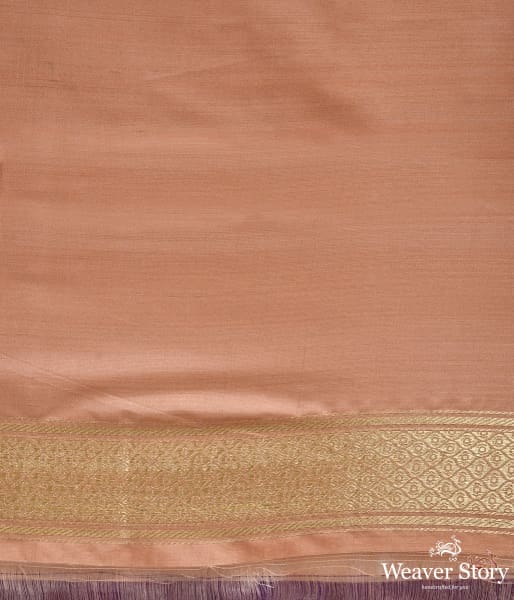 Pale_peach_meenakari_kadhwa_jangla_saree_WeaverStory_05