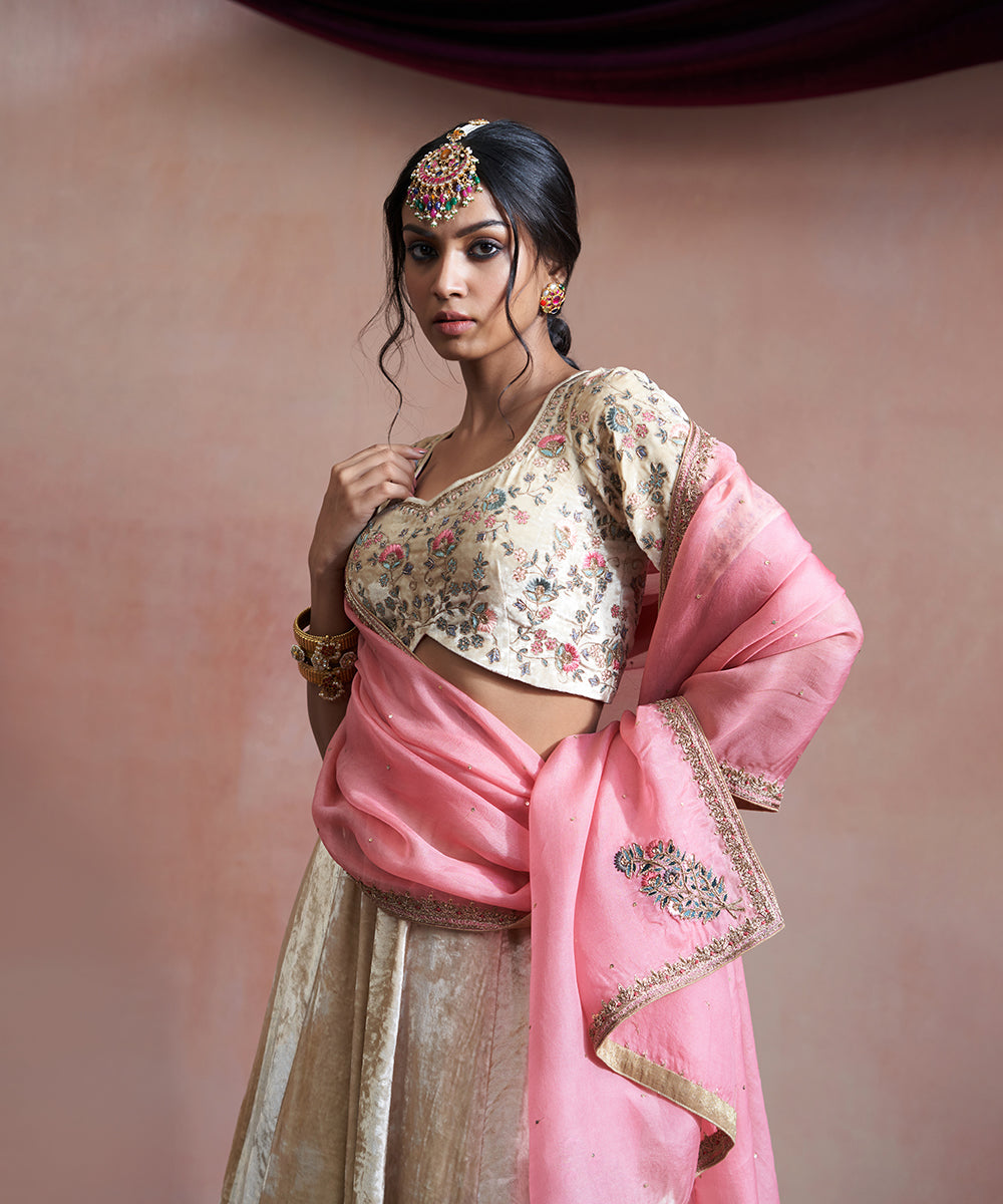 Hand_Embroidered_Beige_Velvet_Skirt_With_Blouse_And_Pink_Organza_Duptta_WeaverStory_02