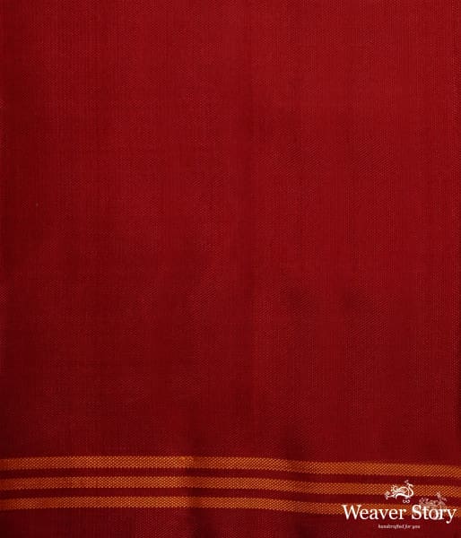 Pure_silk_Gujarat_Patola_saree_in_Green_and_red_dual__and_animal_motifs_woven_diagonally_WeaverStory_05