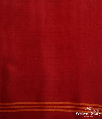 Pure_silk_Gujarat_Patola_saree_in_blue_and_red_dual_tone_in_the_famous_paan_bhaat_weave_WeaverStory_05